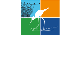 logo big